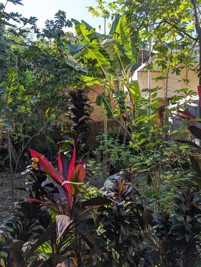 Agus Family Homestay Labuan Bajo Bagian luar foto
